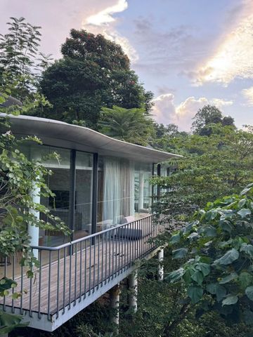 Zimmer mit Glaswänden und Balkon umgeben von dichter Vegetation
