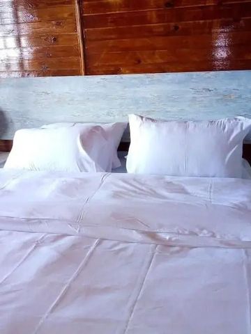 Zimmer mit stilvoller Holzwand und gemütlichem Doppelbett mit weißen Kissen