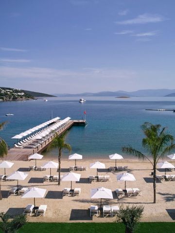 Sonnenliegen und Palmen am Strand mit klarem Wasser