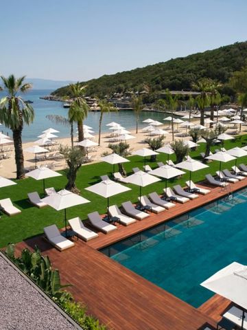 Luxuriöser Poolbereich mit Sonnenliegen und Palmen am Ufer.