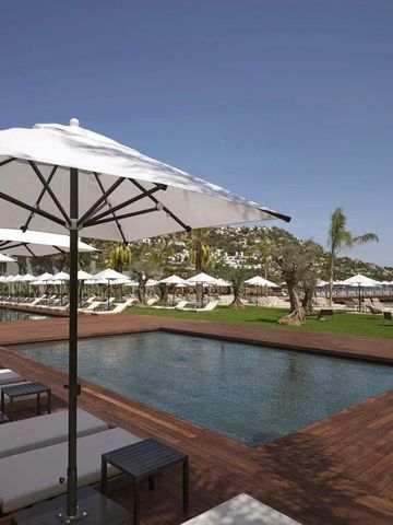 Eleganter Poolbereich mit eleganten Sonnenbetten.