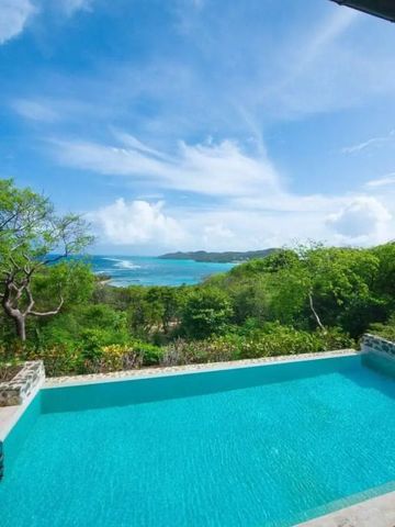 Infinity Pool mit Blick auf das Meer und üppige Vegetation