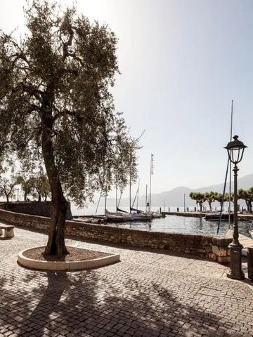 Malere Landschaft mit Olivenbaum, Hafen und Segelbooten am Wasser