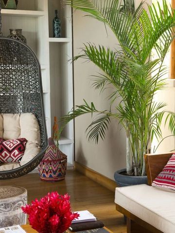 Gemütlicher Loungebereich mit Hängekorb und Pflanzen