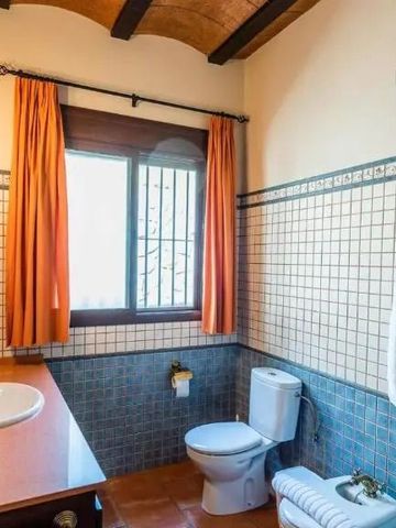 Badezimmer mit moderner Einrichtung und Tageslicht