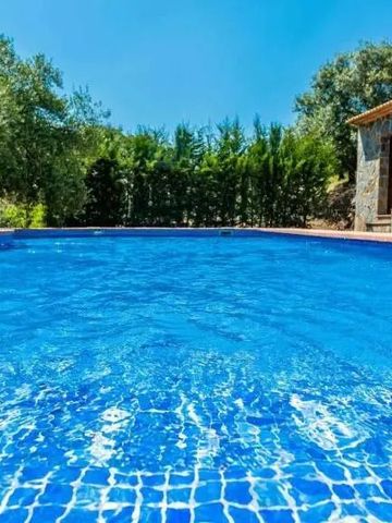 Klarer blauer Pool umgeben von Bäumen und Steinmauern unter klarem Himmel