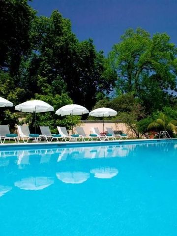 Großer Außenpool mit Liegestühlen und Sonnenschirmen umgeben von Bäumen