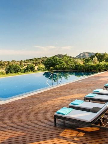 Pool mit Holzdielen-Terrasse und Liegestühlen umgeben von grüner Landschaft