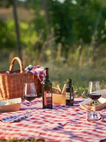 Idyllisches Picknick im Grünen mit Weinen und Wurstwaren auf einer Decke.