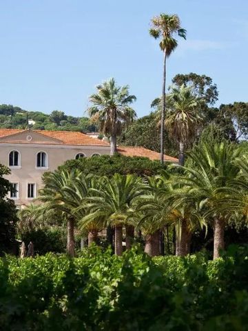 Hotelgebäude mit roten Dachziegeln und Palmen im Vordergrund