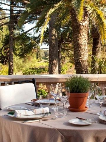 Gedeckter Tisch auf Terrasse mit Blick auf Palmen und grüne Landschaft