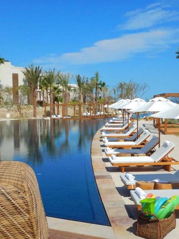 Infinity-Pool mit Reihen von Liegestühlen und Palmen bei Tageslicht