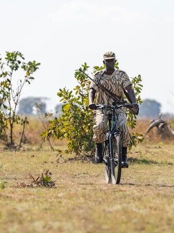 Safari-Guide radelt durch die afrikanische Buschlandschaft