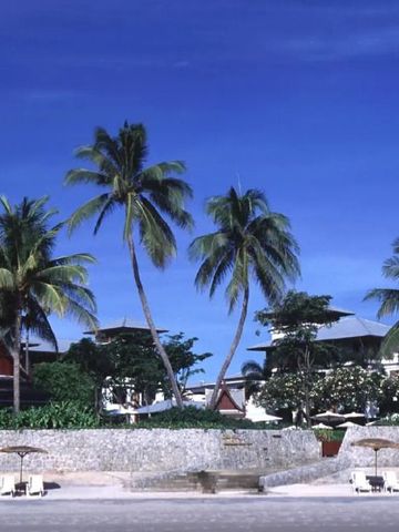 Tropischer Garten mit Palmen und blauen Himmel im Hintergrund