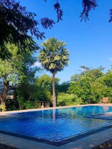 Geräumiger Pool umgeben von üppiger Natur und einem Palmenbaum.