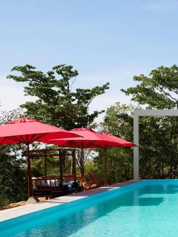 Pool mit roten Sonnenschirmen und Ausblick auf grüne Bäume im Cocolia Hotel