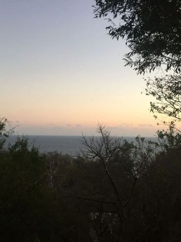 Blick auf die Küste bei Sonnenuntergang durch dichte Bäume