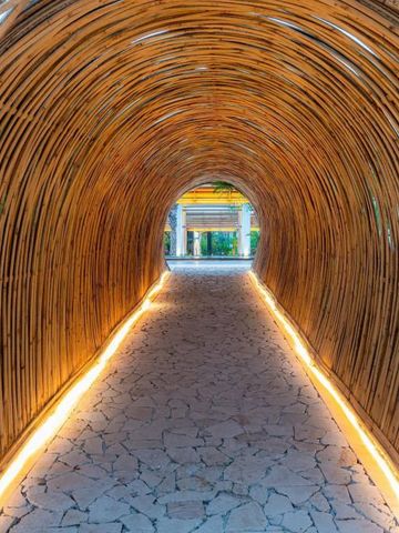 Beleuchteter Bambustunnel führt zu einem einladenden Eingang