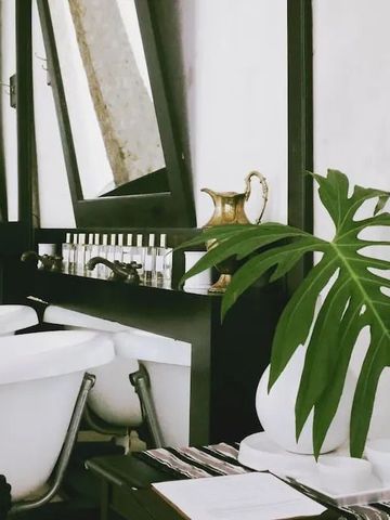 Stilvolle Ecke im Bad mit Badewanne und grüner Pflanze