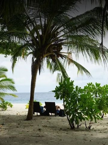 Sonniger Strand mit Liegestühlen unter Palmen und ruhigem Meer
