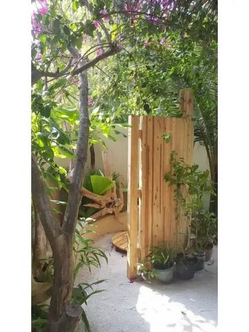 Privater Gartenbereich mit Holztür umgeben von tropischen Pflanzen