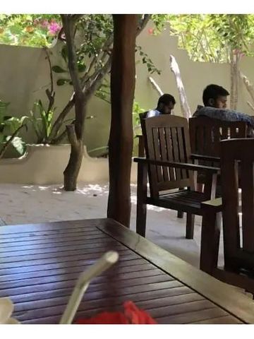 Außenterrasse eines Restaurants mit Holzmöbeln im Schatten von Bäumen