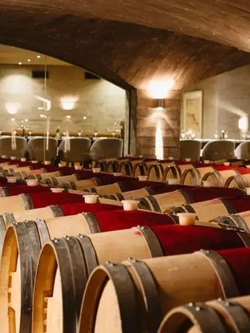 Stimmungsvolle Weinkeller mit Eichenfässern und gewölbtem Deckengewölbe.