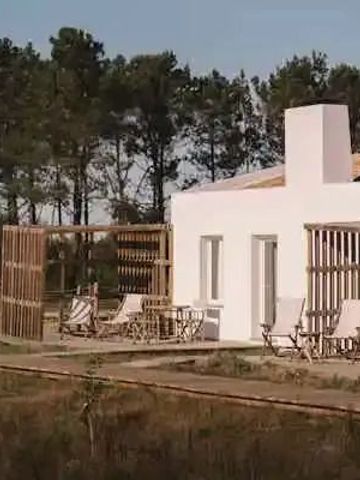 Moderne Villa mit Terrasse inmitten einer Waldlandschaft