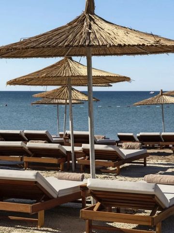 Liegestühle und Sonnenschirme mit Blick auf den ruhigen Strand