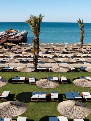 Strand mit Palmen, Liegestühlen und Sonnenschirmen am azurblauen Meer