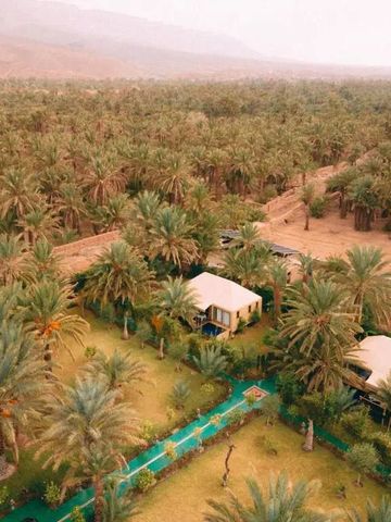 Luftaufnahme des Dar Hnini Hotels umgeben von üppigen Palmen und Gärten