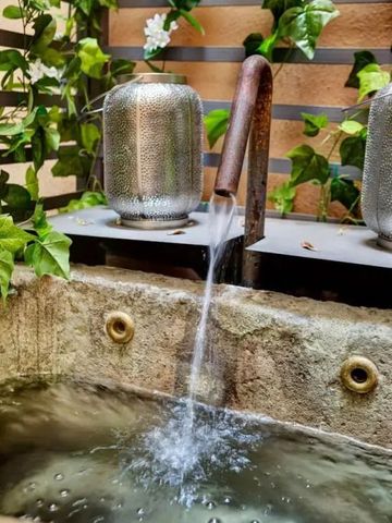 Rustikale Wasserspiele mit Pflanzen im Hintergrund