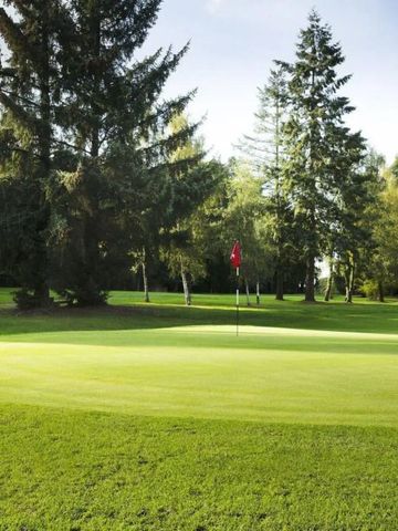 Grüne Golfanlage mit Fahne und Bäumen im Hintergrund
