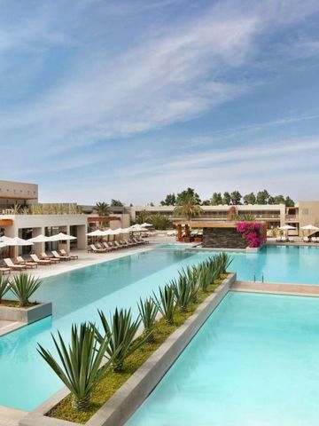 Großer moderner Außenpool mit Liegen und Begrünung bei strahlendem Sonnenschein