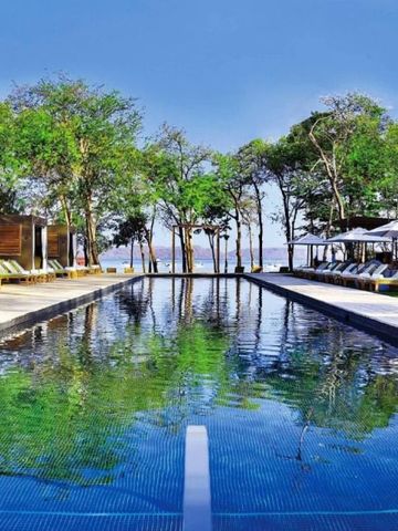 Infinity Pool mit Liegen und Bäumen im Hintergrund