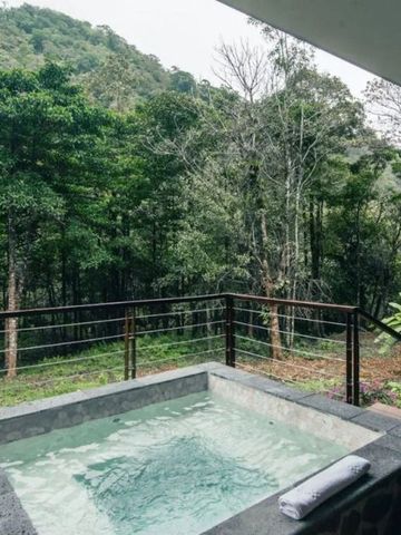 Whirlpool auf der Terrasse mit Blick auf den üppigen Regenwald