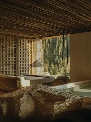 Indoor-Pool mit Felsen im minimalistischem Raum und Waldblick