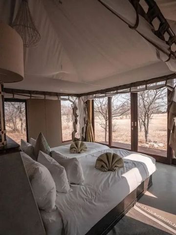 Helles Zimmer mit großen Fenstern und Blick auf savannenartige Landschaft