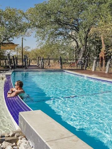 Außenpool mit Sonnendeck in natürlicher Umgebung unter Bäumen