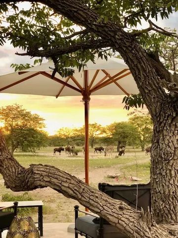Sonnenschirm und Gartenmöbel auf Terrasse mit Blick in die Natur bei Sonnenuntergang