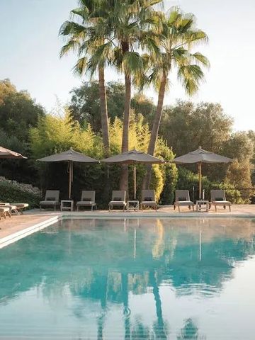 Pool mit Liegen und Sonnenschirmen umgeben von Palmen