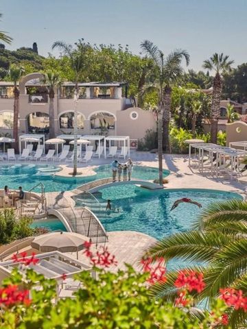 Außenansicht eines luxuriösen Pools umgeben von Palmen und Liegestühlen im Forte Village Resort.