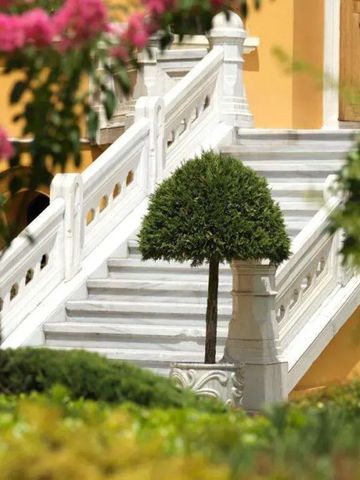 Charmanter Garten mit einer Treppe und blühenden Pflanzen.
