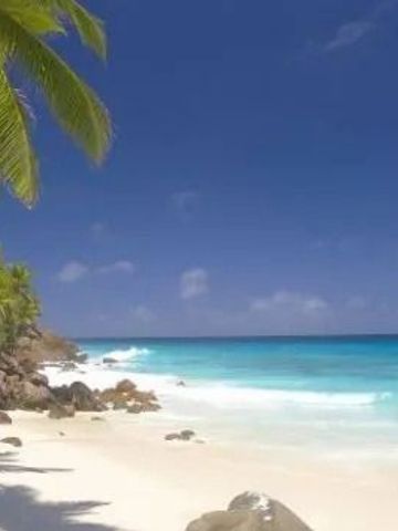 Weißer Sandstrand mit türkisfarbenem Wasser und Palmen