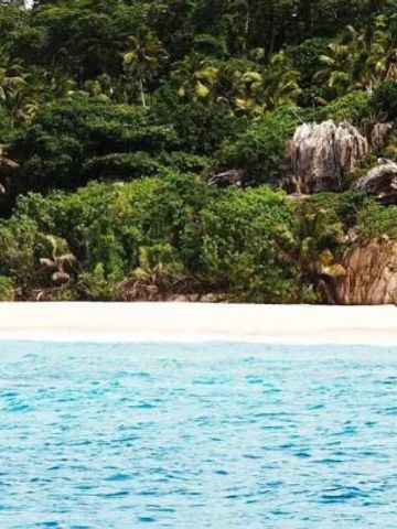 Üppige Vegetation und Strand neben dem Ozean