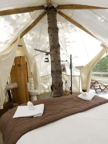 Zelt mit Baumstamm in der Mitte und luxuriöser Einrichtung.