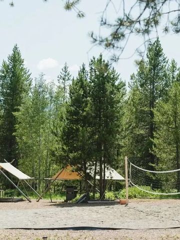 Campingplatz mit Volleyballnetz und Bäumen im Hintergrund