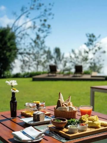 Grüner Garten mit gedecktem Tisch und Liegestühlen im Hintergrund