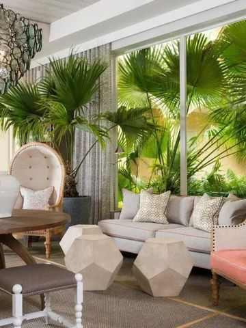 Luxuriöse Lounge mit modernen Möbeln und tropischer Dekoration