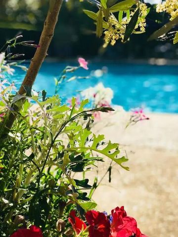 Blumen am Poolrand mit verschwommenem Wasser im Hintergrund